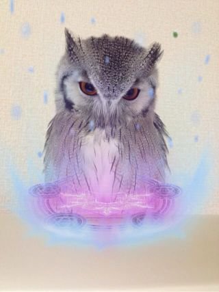 ののさんのプロフィール画像