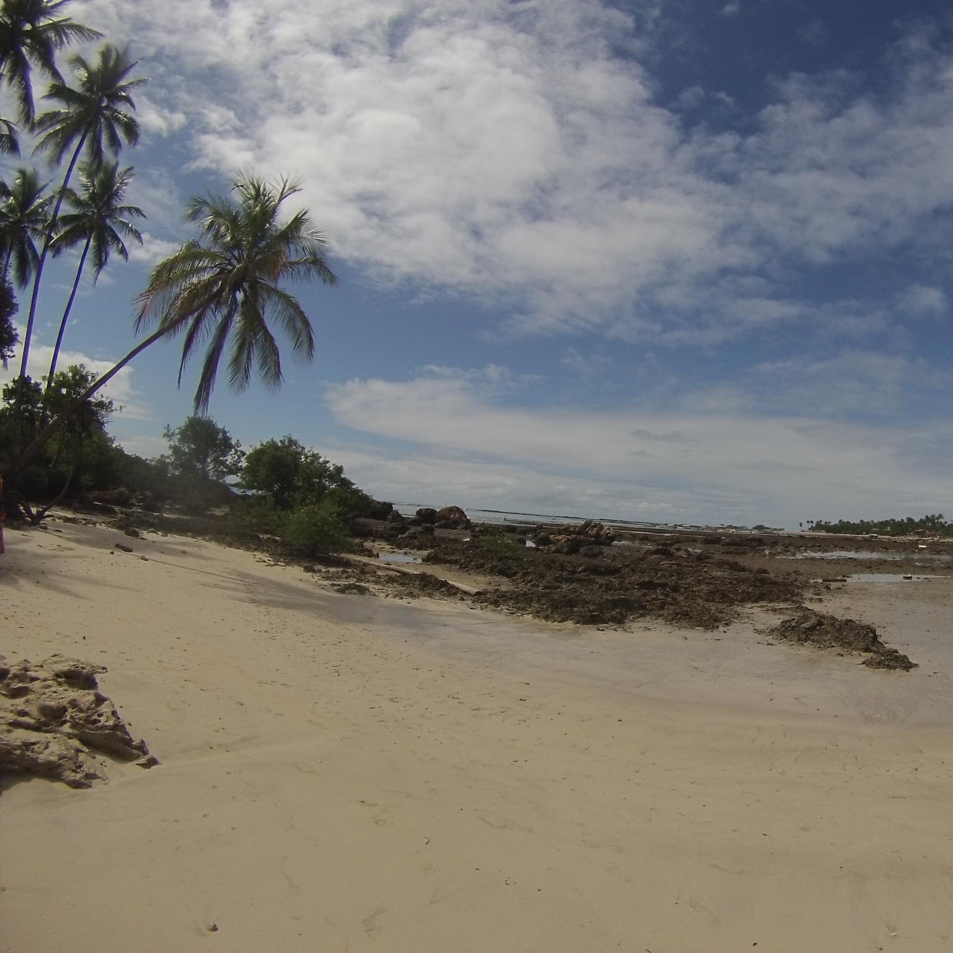 natashabagdona's profile picture. 