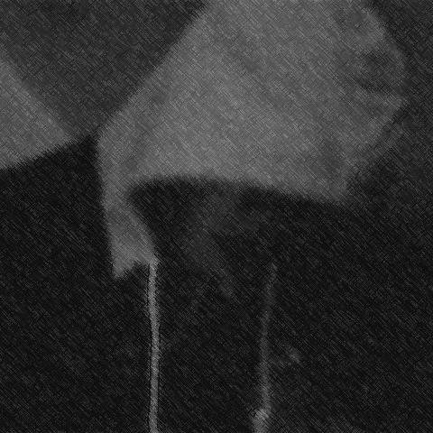 Nijtram30's profile picture. 