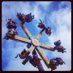 #Theme #Parks #GC (@themeparksgc) Twitter profile photo