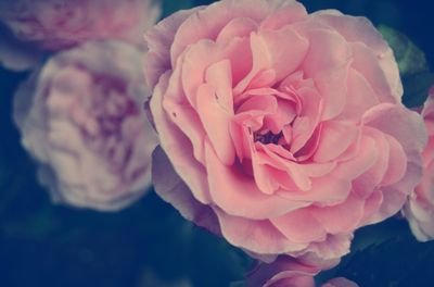 iana147's profile picture. 