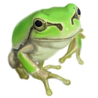 329_can's profile picture. 社員番号9630 カエルのキャンキャンですよ。10月から京都府民になりました。 沖縄出身。Twitter初心者の為、あまり使い方が分かってないですが、よろしくお願いします。笑 リスナー社員の皆様、気軽に絡んで貰えると嬉しいです笑 プロレス好き。