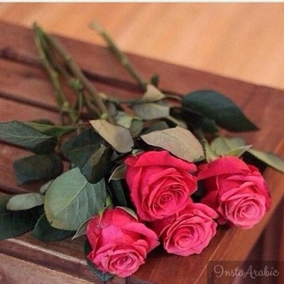 لا ضاق صدرك من غرابيل دنياك ناج العظيم مكوّن الكون ناجه وأعرف ترى علم الفرج عند مولاك بأمره تهون و تنقضي كل حاجه”