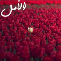 اتعبني غلاك،، (@ggmrai) 's Twitter Profile