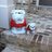 chris