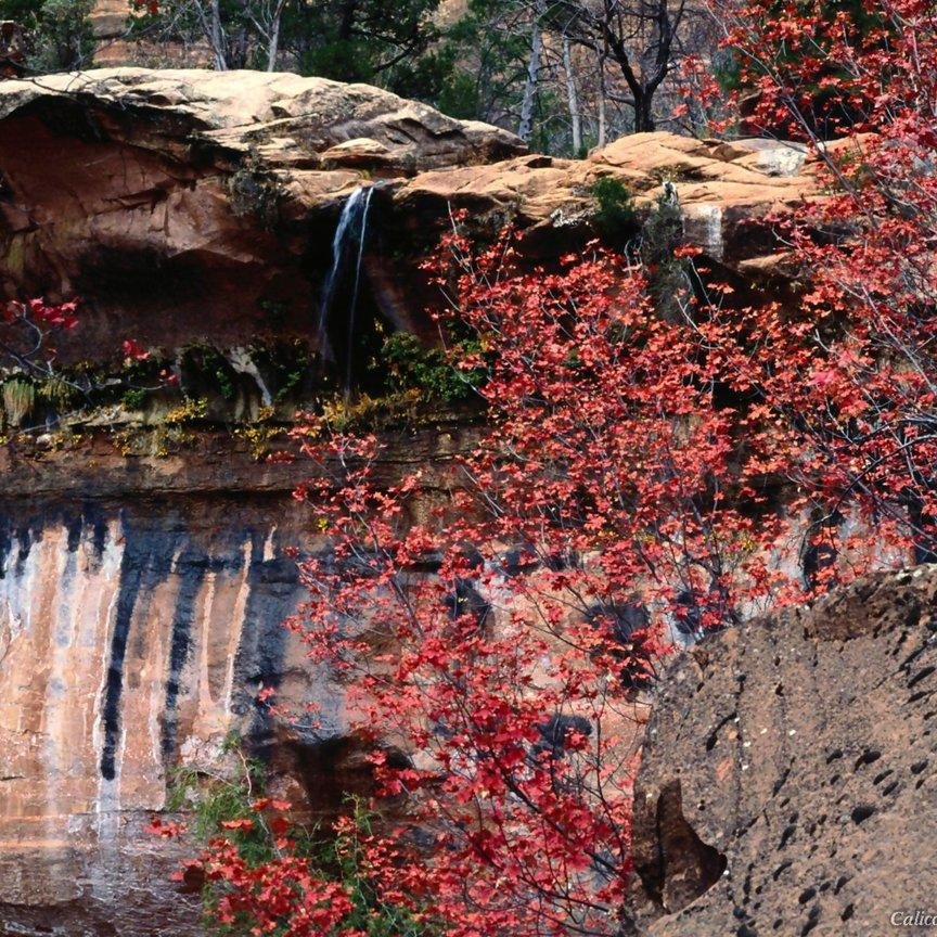 Samoh8029's profile picture. # Foot ball ammateur.
# Planning Engineer and cost control in oil and gas company.
# Management of Project and Estimation of scope of Work for all the discipl