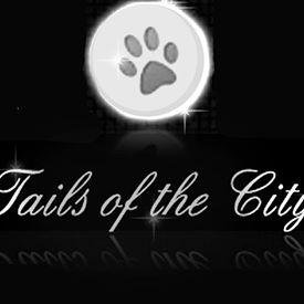 Tails of the city provides the ultimate dog care service in #chester