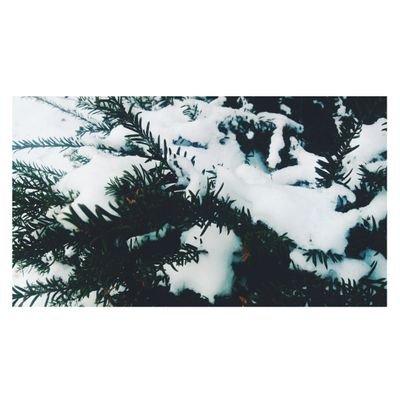 50a15b84ab284c7's profile picture. 