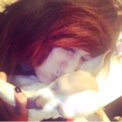 RainbowKitten57's profile picture. Just some loser who really loves music :3 ig: this_beautiful_tragedy_