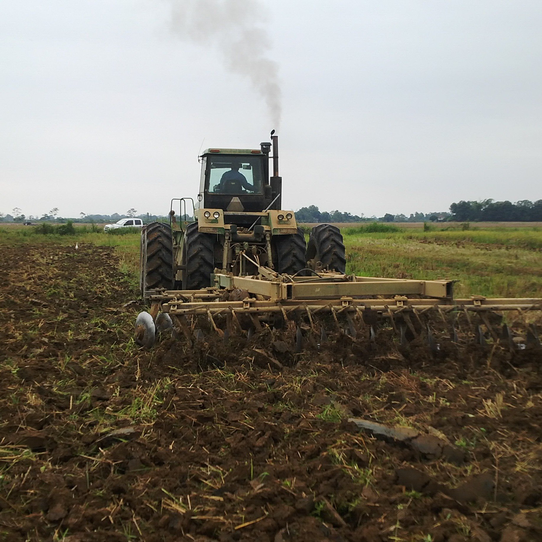 Agricultor | Hacienda La hormiguita 🐜🌴 Investigador Agropecuario | INIAP