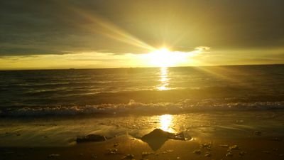 beautifulviewsk's profile picture. 美しい景色、きれいな景色だと思った写真をあげてきます  逆にきれいな景色募集もしてます