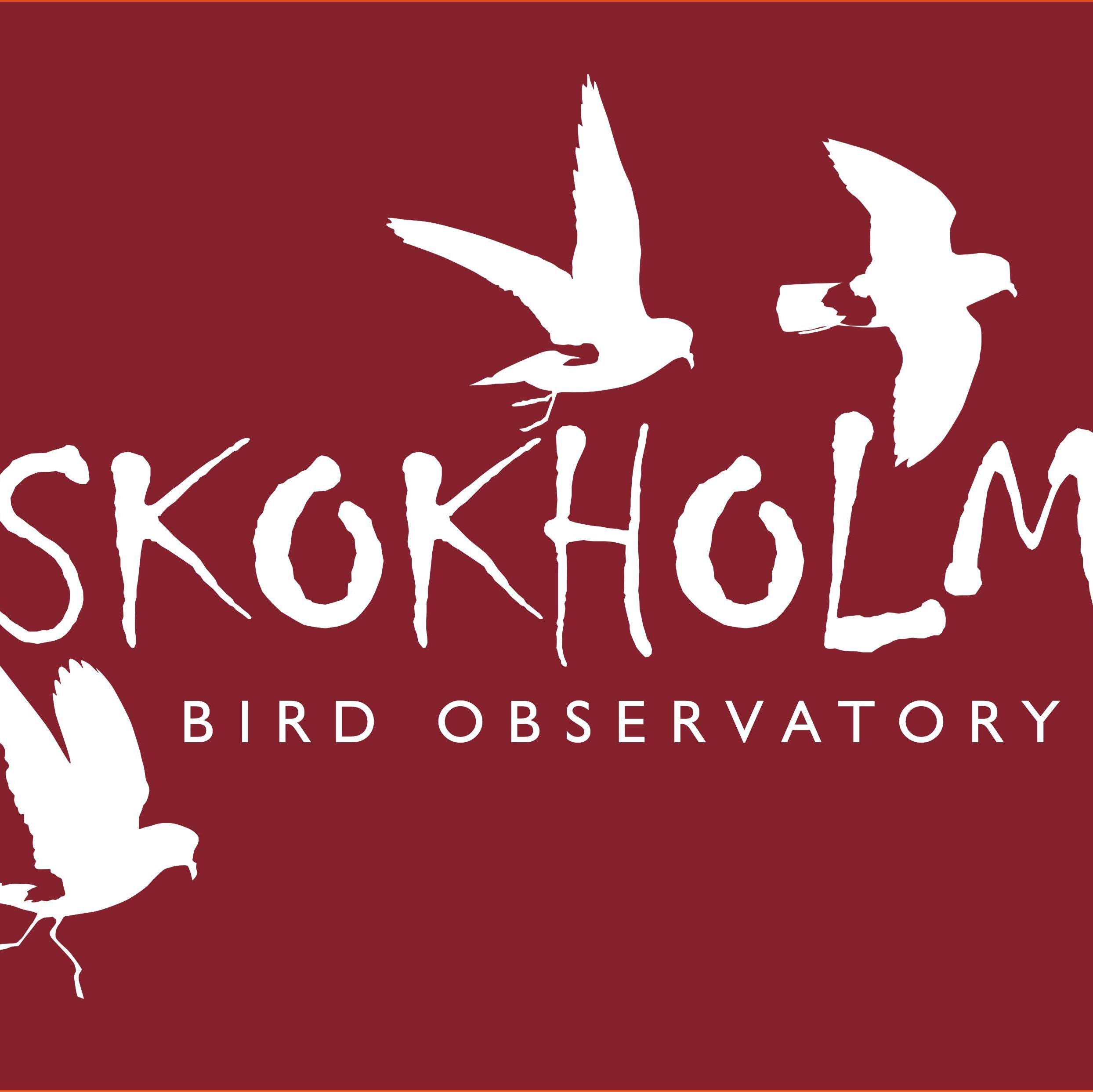 News from and the views of Dream Island wardens Rich & Giselle working at Britain's first Bird Observatory, a seabird paradise owned & managed by @WTSWW