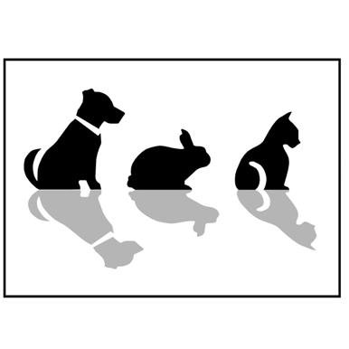 A friendly professional vets in Rugby and Royal Leamington Spa, Warwickshire. Catering for all your pets' needs.