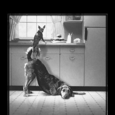 WillsGareth's profile picture. I believe in teaching & developing the 'whole child'. I am an Deputy Headteacher focused on wellbeing, Character Ed and inclusive approaches to education.