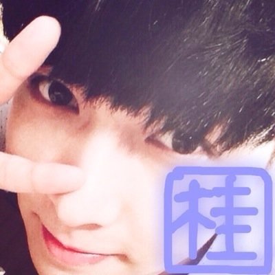 お引っ越しします！