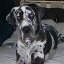 june paterson - @adream_uk - Twitter