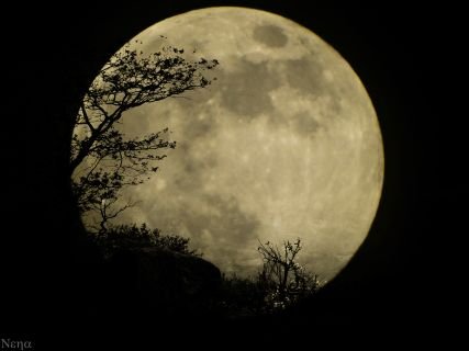 akane01001's profile picture. ゼロからのスタート
アニメ、ゲームとか好きな駆け出しエンジニア

最近モンハンやり始めました

PC自作勢