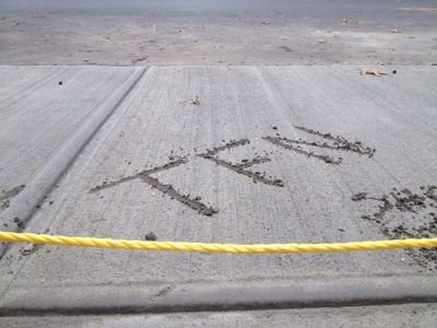 tfn770's profile picture. Toutes les annonces TFN sur Twitter.