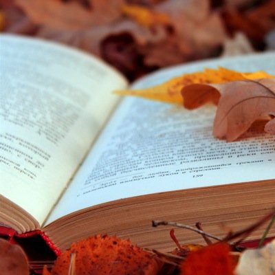 AiniAmrouche's profile picture. 