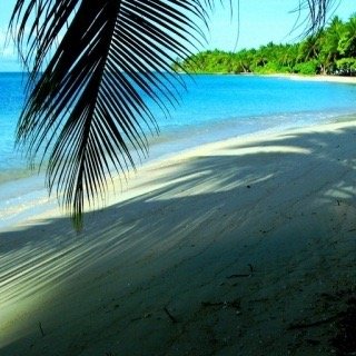 puttbw61's profile picture. 