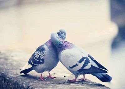 الحياة جميلة لكن تذكر الله دائما