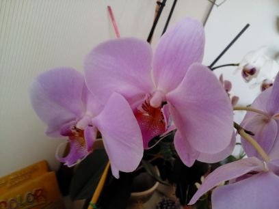 AandresAssumpta's profile picture. Apassionada pel món de l'educació, tot i haver-me'n jubilat. Confio en les persones, sobretot en el jovent, per construir junts una societat més justa.