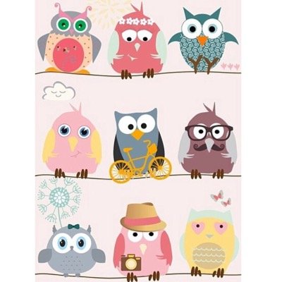 ssaroon_l Profile Picture