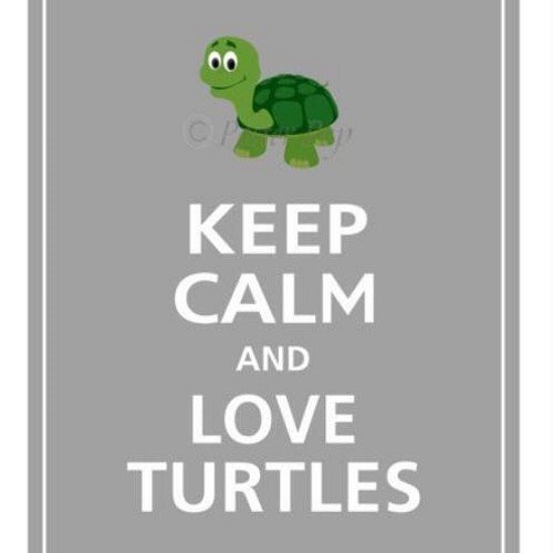 keep calm and love turtles...