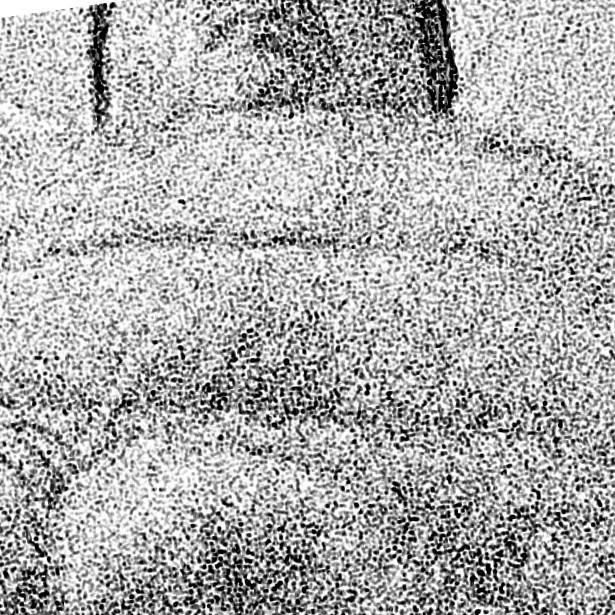 PippinoIlBreve's profile picture. 