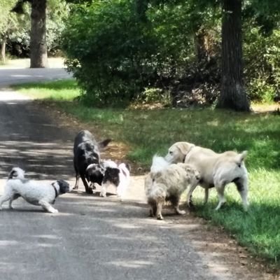 brenthartengel1's profile picture. logy