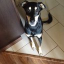 Jennifer Chapman - @JenChapman72 - Twitter