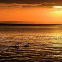 Ken Nicholson - @knicho800 - Twitter