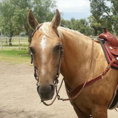 Martha Valdez Profile
