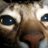 anila_G's profile image