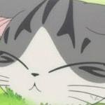 (ㅁㅅㅁ)さんのプロフィール画像