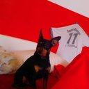 Walter Friedl - @wutsch74 - Twitter