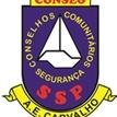 Conseg A. E. Carvalho, grupo de voluntários que interagem com a comunidade buscando soluções comuns para seus problemas