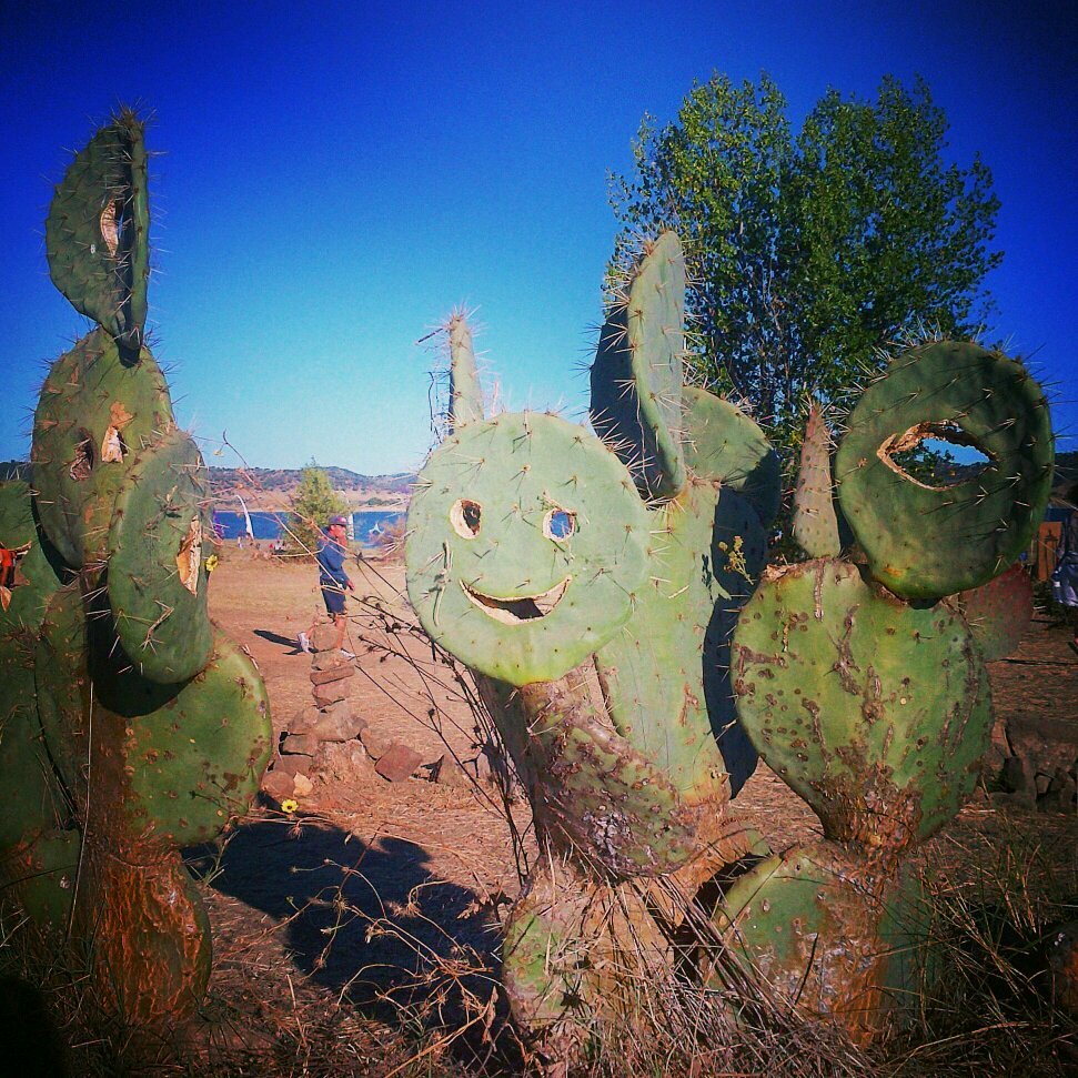 smileysamdd's profile picture. 