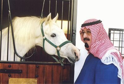 صاحب قلم صادق ولا يحب أن يجامل