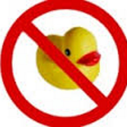 I'm  tweeting  random  stuff anything  that comes too mind not That it matters no duck jokes  aloud angry person  tweeting