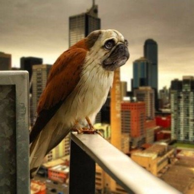 tetobook's profile picture. 静大 機械工2年 suac 人力飛行機 16代パイロット 群馬県渋川→静岡県浜松