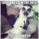 Ryan Bowes - @rybox31 - Twitter