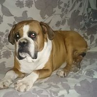 Jaime G N (@loranluna) 's Twitter Profile
