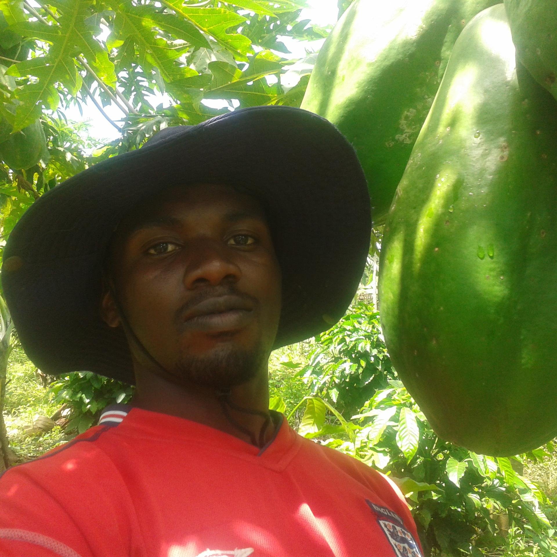 Young Farmer,Technologist,coordinator/founder countryside youth foundation (CSYF),The MasterCard Foundation-Youth Think Tank (Alum)