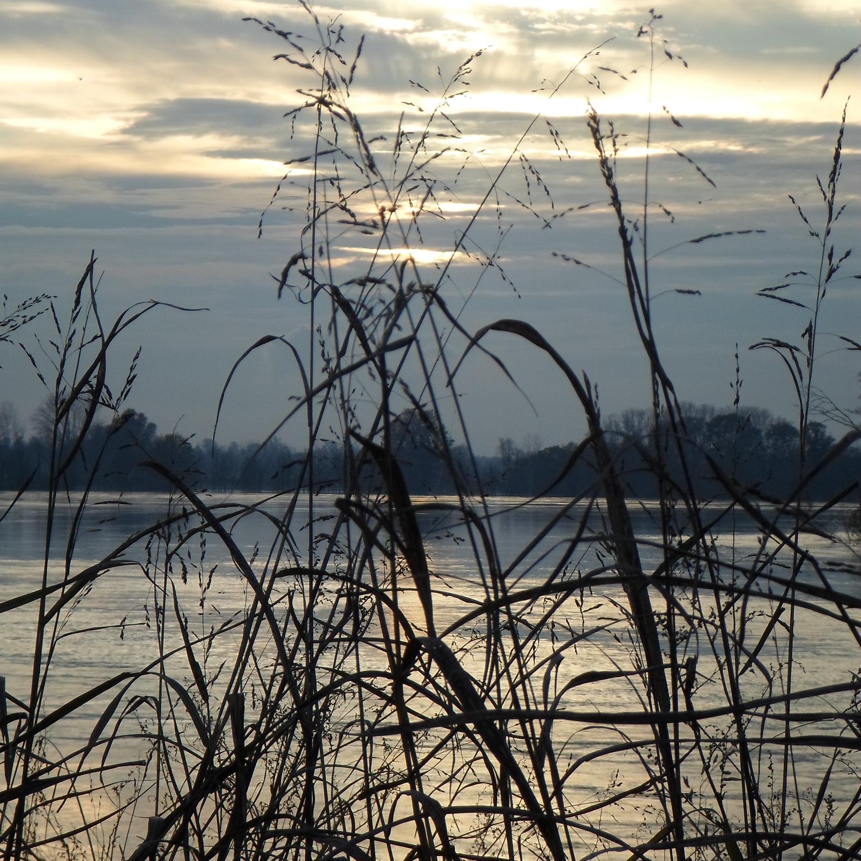 VerriBetty's profile picture. 