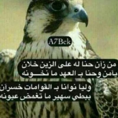 ‏‏‏‏الخاص مهمل تلبيه لاثنين ربوني