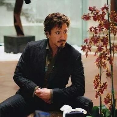 2Arrogant4You's profile picture. // I guess everyone knows Iron Man or Tony Stark already, so why should I write everything up again? 

You're curious? Talk to me~