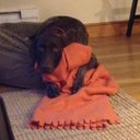 Ryan Lussier - @lusmania81 - Twitter