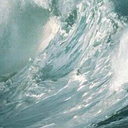 April Howard - @ApeHoward - Twitter