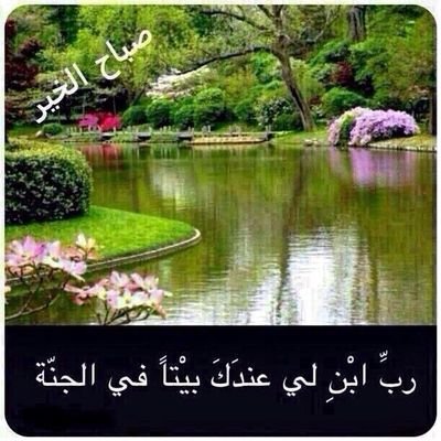 ‏اداره الملاك في الطائف وكيل شرعي عمل صباحي